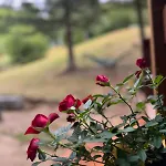 Кемпинг Bendji Land - Vacation Hideaway, Close To Sofia *
