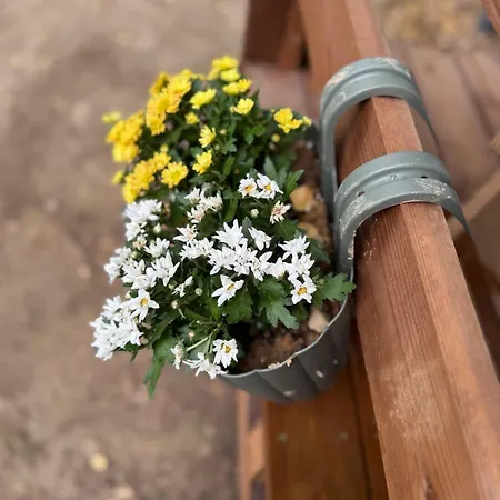 Bendjiland - Vacation Hideaway, Close To Sofia Campingplads Ribarica